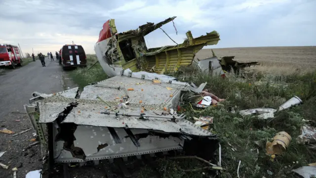 MH17失联后不久即传来飞机坠毁消息。有指称说，飞机被导弹击落。