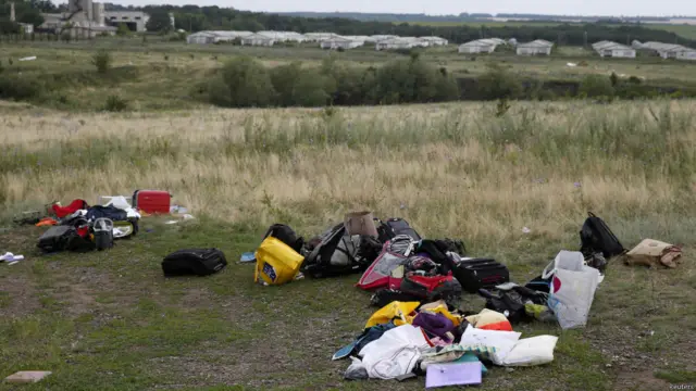 Катастрофа самолета MH17 компании Malaysia Airlines 