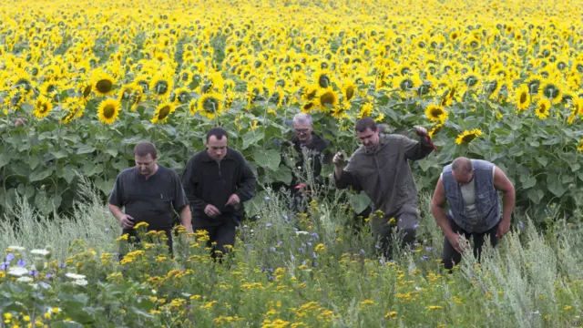 Катастрофа самолета MH17 компании Malaysia Airlines 