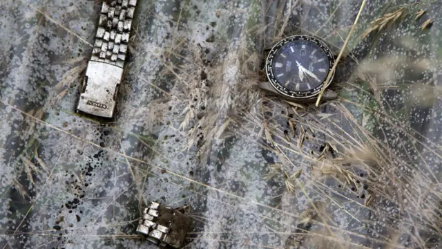 Катастрофа самолета MH17 компании Malaysia Airlines 