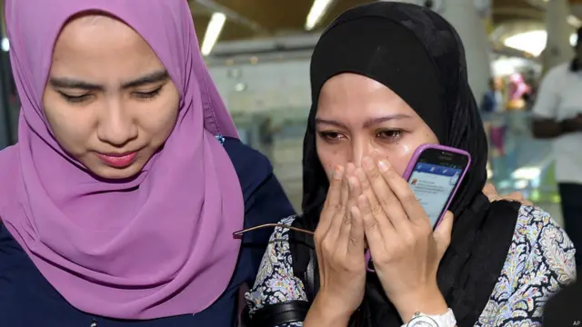 Катастрофа самолета MH17 компании Malaysia Airlines 