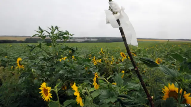 Место крушения малайзийского лайнера