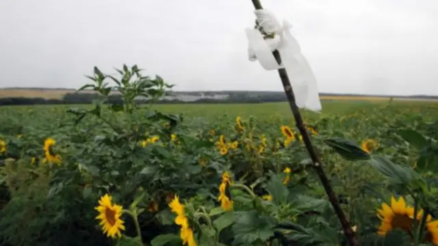發現遺體的地方只是用布條綁著的木棍簡單的做了標記。