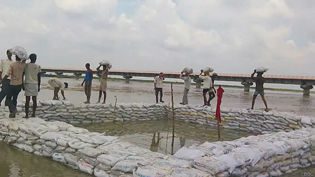 बदायूं, पेड़ जिसपर दो लड़कियों की लाशें मिली थीं