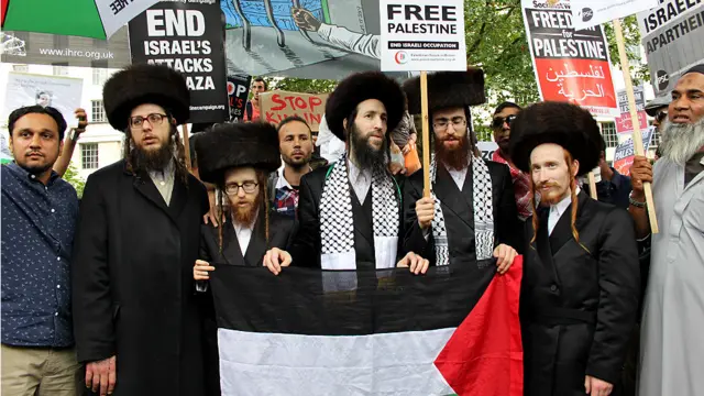 عکس: نیلوفر از لندن