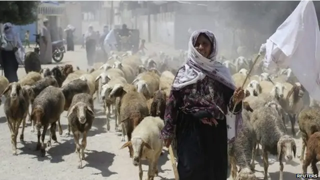 巴勒斯坦牧羊人