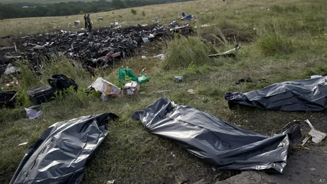 Restos de víctimas del avión
