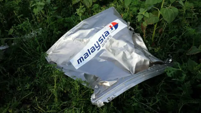 Malaysia Airlines