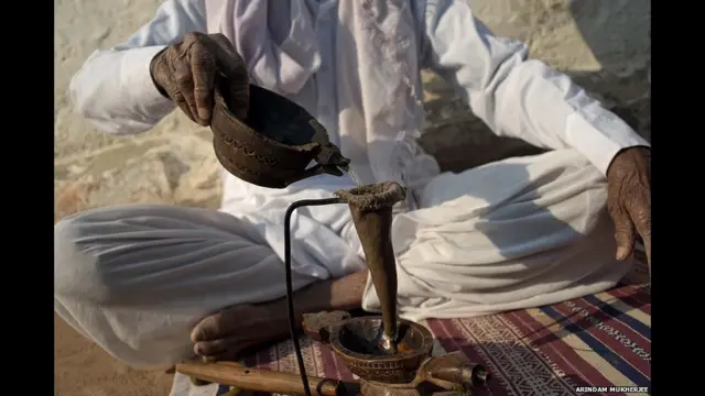 பிஷ்நொய்கள் போதைச் செடி ஒன்றிலிருந்து தயாரிக்கப்படுகின்ற பானத்தை விரும்பிக் குடிக்கின்றனர். அமல் என்று இந்த பானத்துக்கு பெயர்.