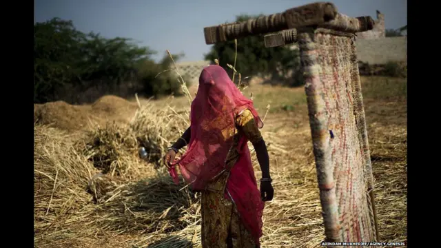 பிஷ்நொய்களில் ஆண்கள் பெண்கள் இருவருமே வயல்களில் வேலைசெய்வார்கள்.