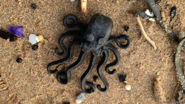 Lego (Tracey Williams)