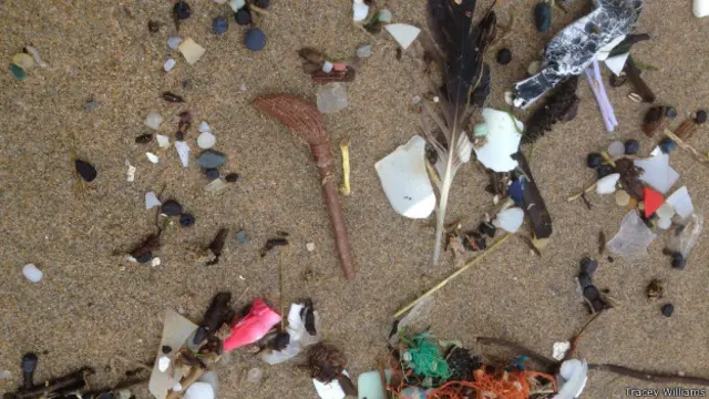 Lego (Tracey Williams)