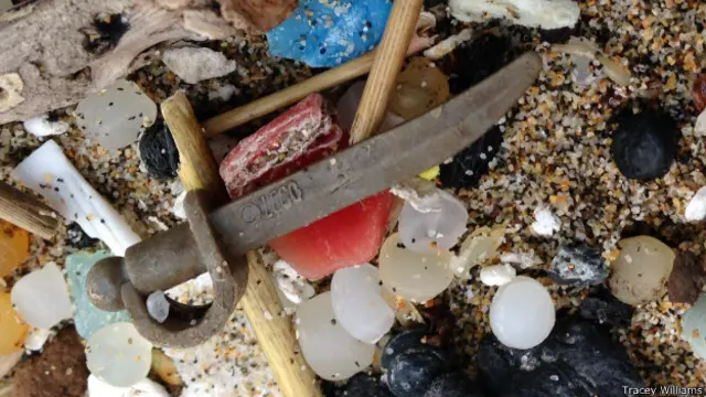 Lego (Tracey Williams)