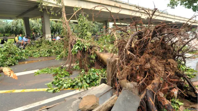 颱風過後的海口市
