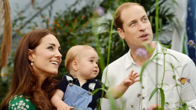 这些照片都是几周前在伦敦自然历史博物馆拍摄的。