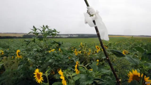 Bendera putih menandai lokasi jenazah korban MH17 di wilayah Ukraina.
