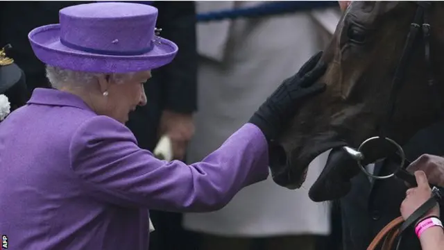 اسٹیمیٹ چار سالہ گھوڑی ہے جسے نیومارکیٹ میں تربیت دی گئی ہے اور اس نے نو دوڑوں میں سے چار جیتی ہیں