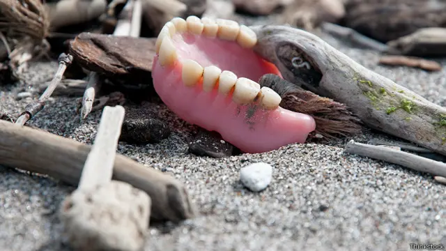 Вставная челюсть, выброшенная на берег