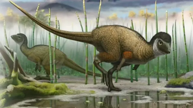 تھیروپاڈ ڈائنو سار وہ شکاری تھے جنھوں نے جوریسک اور کریٹیشس کے زمانے میں زمین پر راج کیا