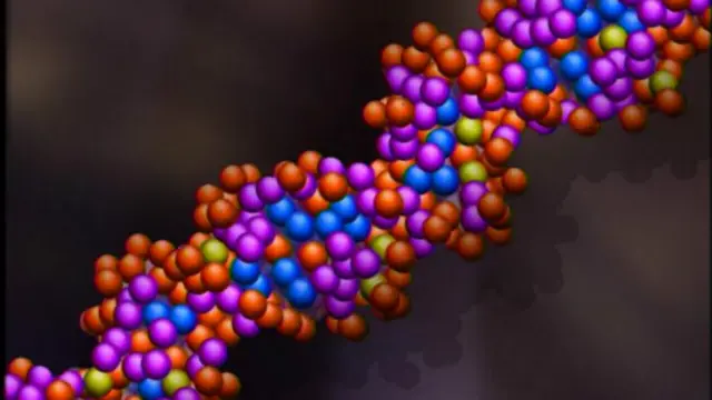 牛津大学科学家的研究结果让人们对人类遗传有新的理解。