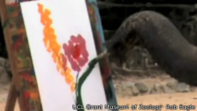 Elefante