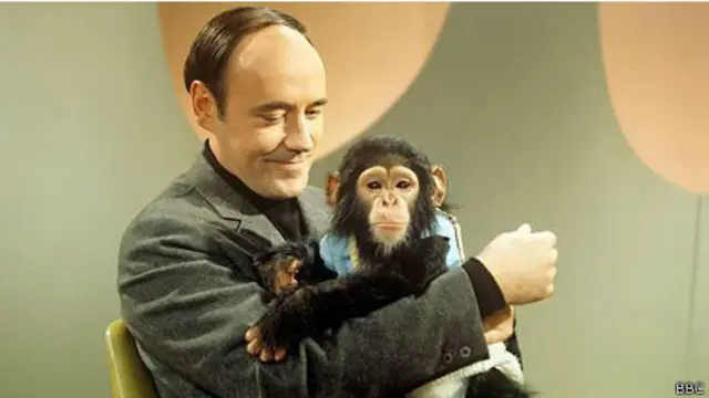 Desmond Morris y Congo (BBC)