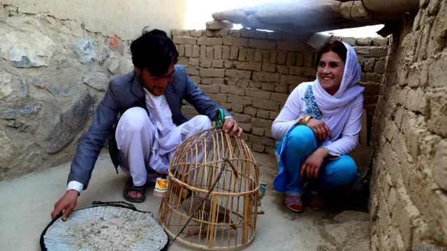علی بخشی از وقت خود را صرف رسیدگی به کبکش می‌کند. او عاشق کبک هم هست، اما زکیه می‌گوید آن را آزاد می‌کند.