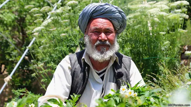 محمد انور پدر علی ابتدا با عشق پسرش مخالفت کرد اما سرانجام حمایت کرد