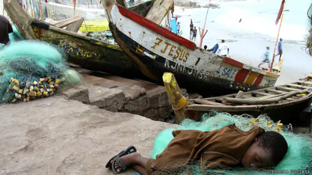 मत्स्य पालन, बच्चे