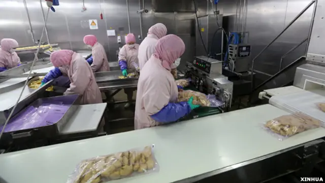 上海食药监局查封前的上海福喜麦乐鸡块生产线(新华社图片20/7/2014)