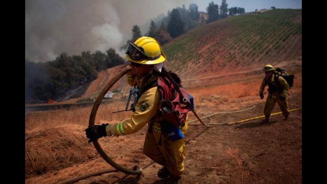 Bomberos del condado de Marin –en el norte de área de la Bahía de San Francisco– acarrean una manguera para combatir las llamas del veloz “Incendio de Arena”, cerca de Plymouth, California. REUTERS