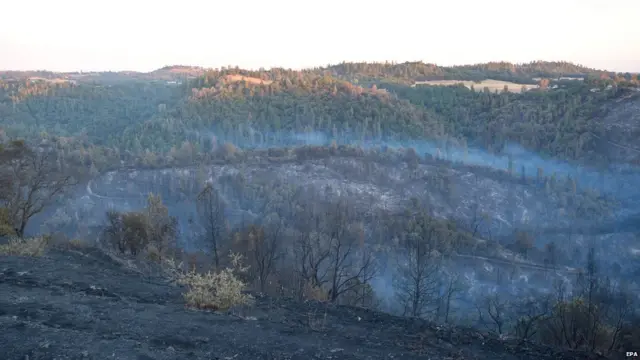 Пожары в Калифорнии