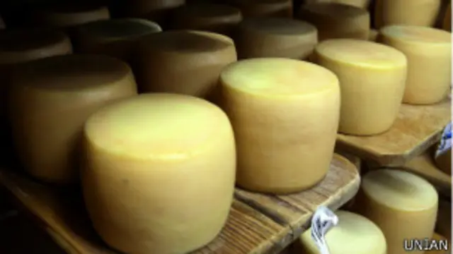 український сир