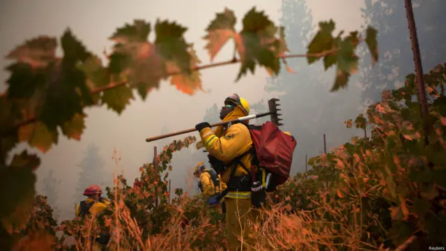 Пожары в Калифорнии