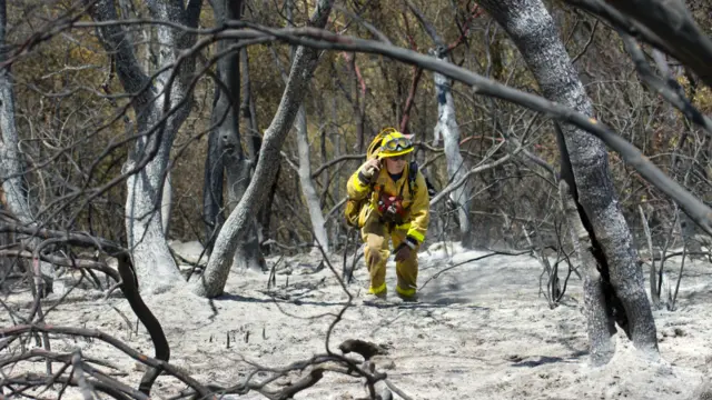 Пожары в Калифорнии