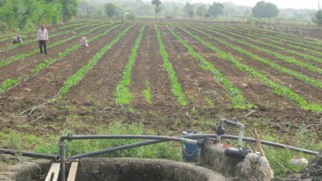 गुजरात सौराष्ट्र खेत