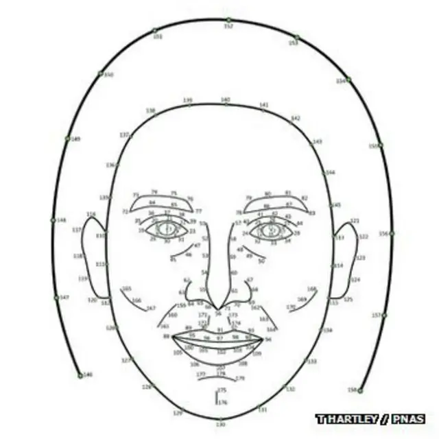 Números faciales del estudio de Hartley