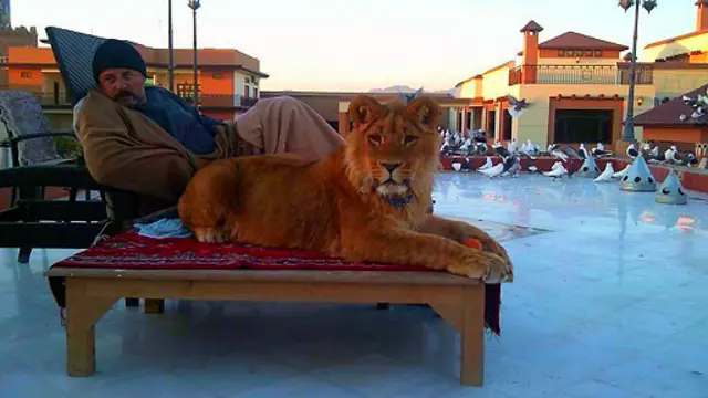 حشمت کرزی یو ځوان سیاستوال او په کندهار کې یو مخور سړی و.