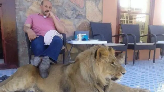 حشمت كرزاي وأسده الأليف