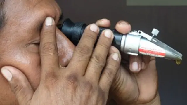 Los indígenas cuidan al máximo la calidad de su miel. Foto cortesía: Educe S.C. de R.L.