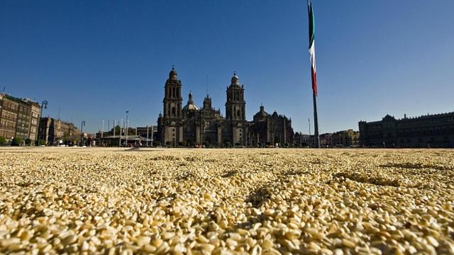 Protesta en la plaza de El Zócalo de Ciudad de México contra el maíz transgénico. Foto Getty Images.