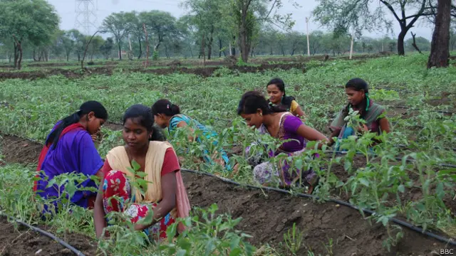 आदिवासी स्कूल, छात्राएं