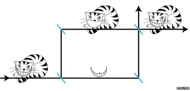 Gráfico de la paradoja del Gato de Cheshire