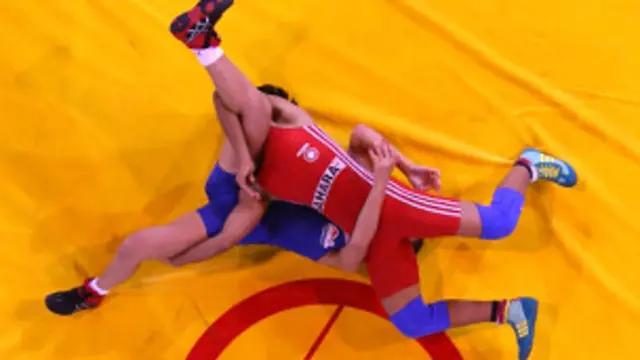 भारत में कुश्ती