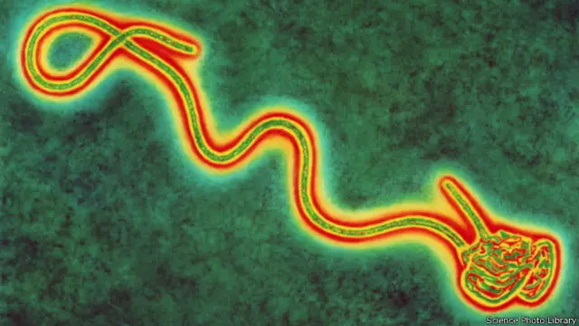 Вирус Эбола 