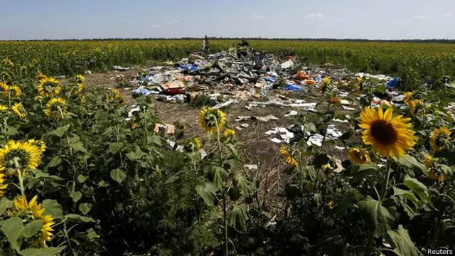 本次空难中有193名荷兰人遇难，马来西亚遇难乘客人数为43人，死者中还包括27名澳大利亚人。