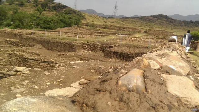 خدشہ یہ ہے کہ ایک سال بعد، اگر حکومتِ خیبر پختونخوا نے زمین نہ خریدی یا وسائل نہ ہوئے تو 30 سال کی محنت ضائع ہو سکتی ہے