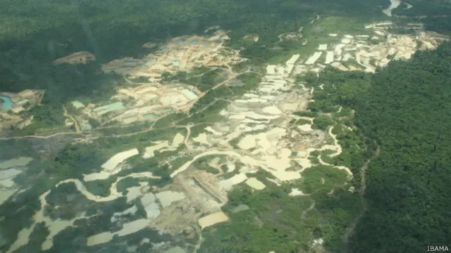 Surto de Garimpo (Ibama)