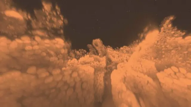 आंत के ऊतक