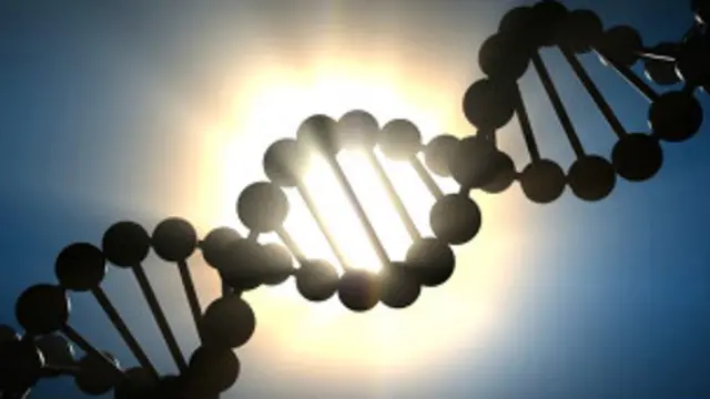 پہلی بار ڈی این اے فنگر پرنٹ کا استعمال ایک نوجوان تارکِ وطن کو واپس گھانا بھیجنے سے بچانے کے لیے کیا گیا